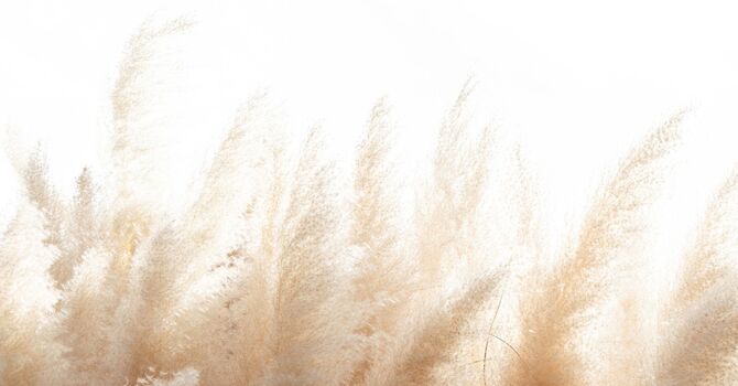 Who’s the Best Chiropractor for Headaches in Thompson’s Station, TN?