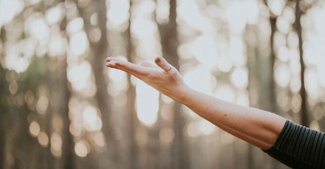 Who’s the Best Sports Injury Chiropractor in Thompson’s Station, TN?